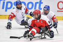 Сборная России по следж-хоккею в Чехии примет участие в международном турнире International Para Hockey Cup