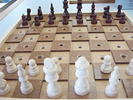 Представители 8 регионов примут участие в Первенстве России по шахматам спорта слепых