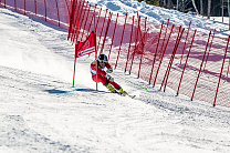 Российские горнолыжники с ПОДА и спорта слепых завоевали 2 золотые, 3 серебряные и 6 бронзовых медалей на Кубке Европы в Австрии