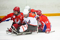 Подмосковный «Феникс» возглавляет промежуточную турнирную таблицу первого этапа чемпионата России по следж-хоккею