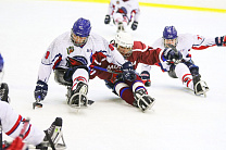 Второй круг чемпионата России по следж-хоккею стартовал 17 марта на РУТБ «Ока» в г. Алексине