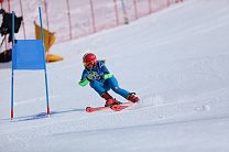 1 золотую, 1 серебряную и 2 бронзовые медали завоевала сборная команда России на международных соревнованиях по горнолыжному спорту МПК в Швейцарии